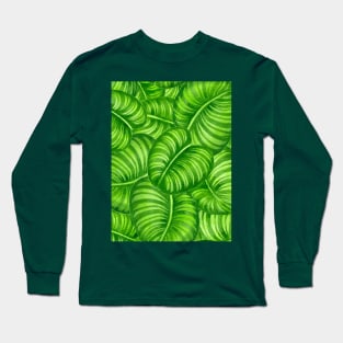 Calathea leaves Long Sleeve T-Shirt